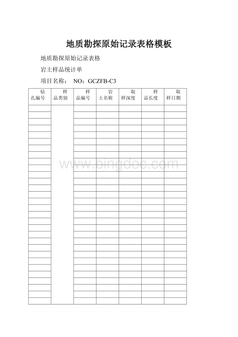 地质勘探原始记录表格模板Word格式文档下载.docx