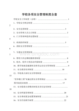 学校各项安全管理制度全套文档格式.docx