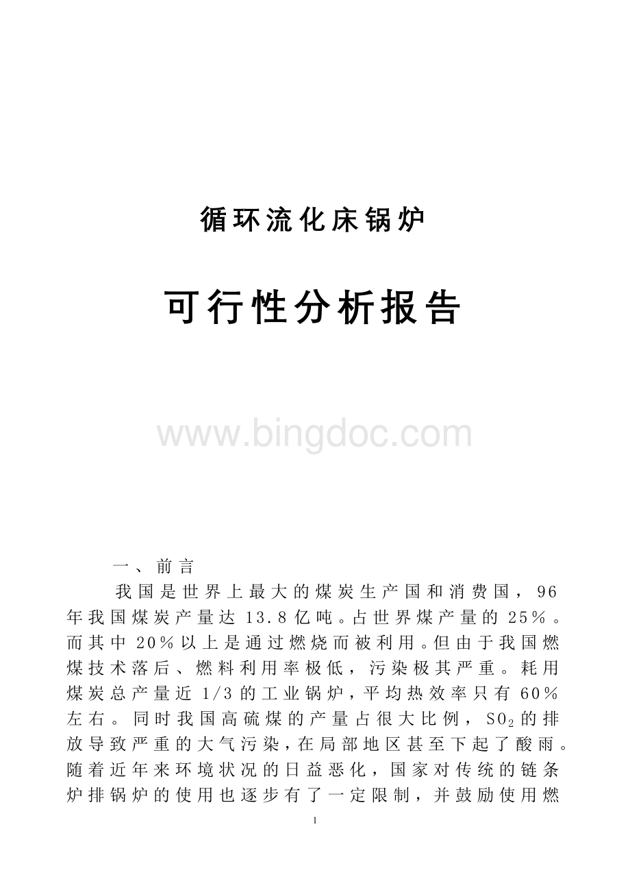 循环流化床可行性分析报告.doc_第1页