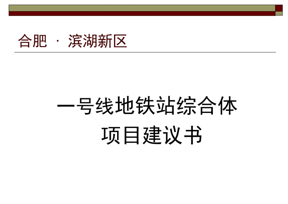 合肥滨湖新区地铁综合体项目建议书.ppt_第1页