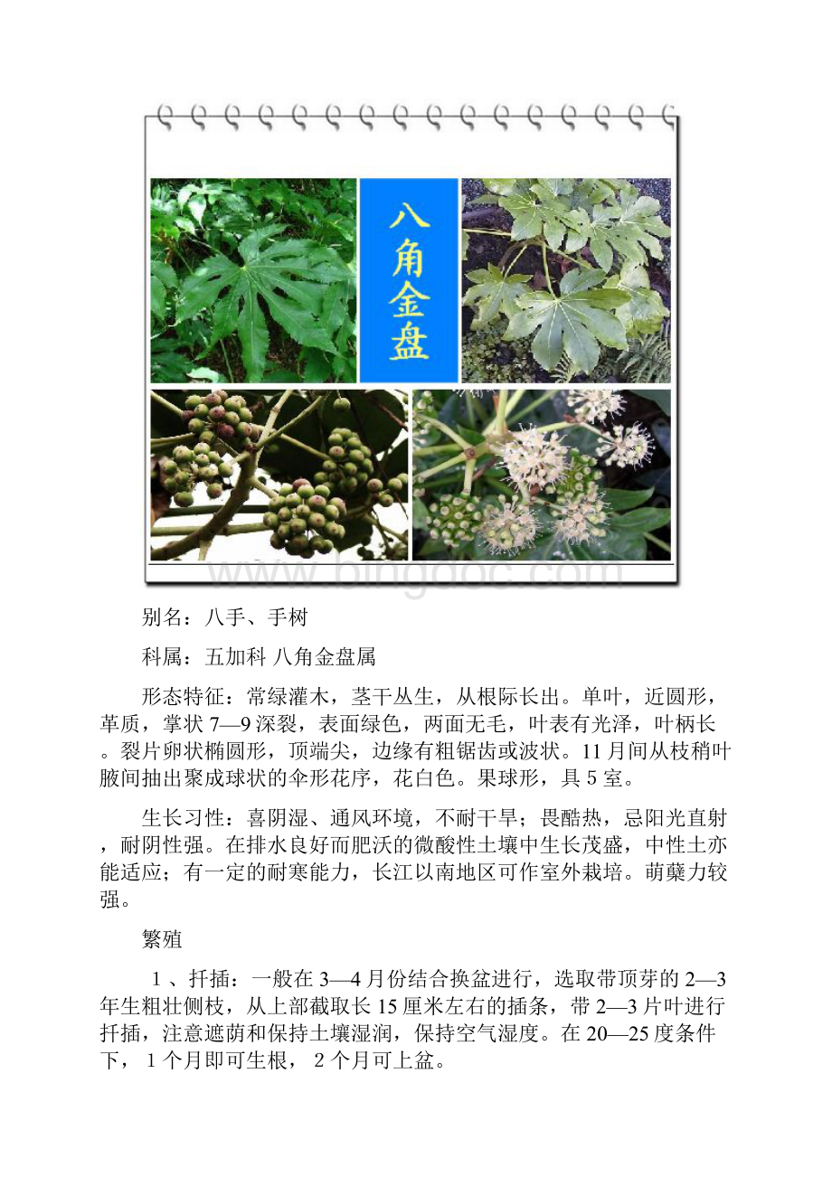 常见盆栽木本花卉资料附图.docx_第2页