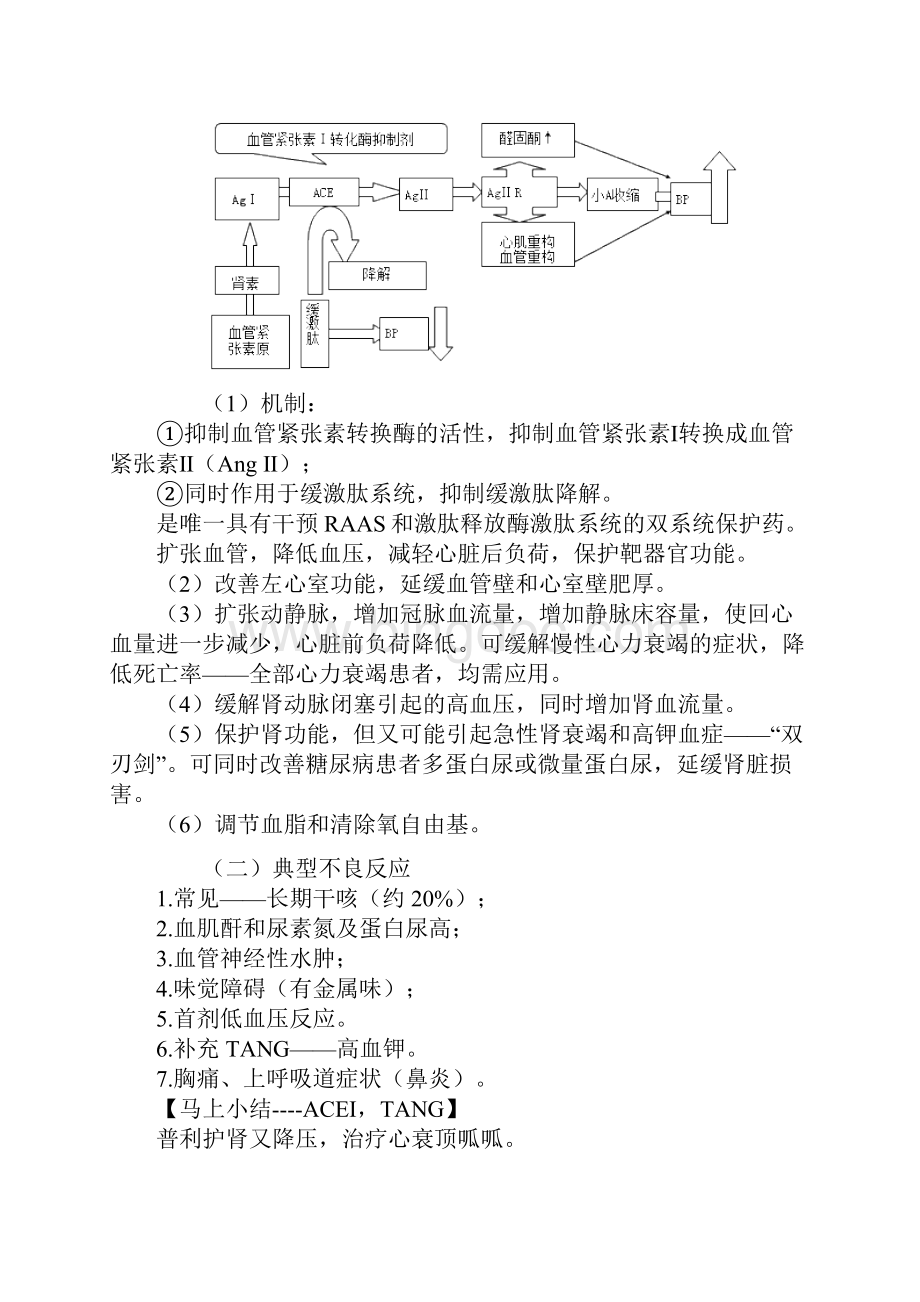 执业西药师考试辅导医学专业知识二基础班讲义0501.docx_第3页