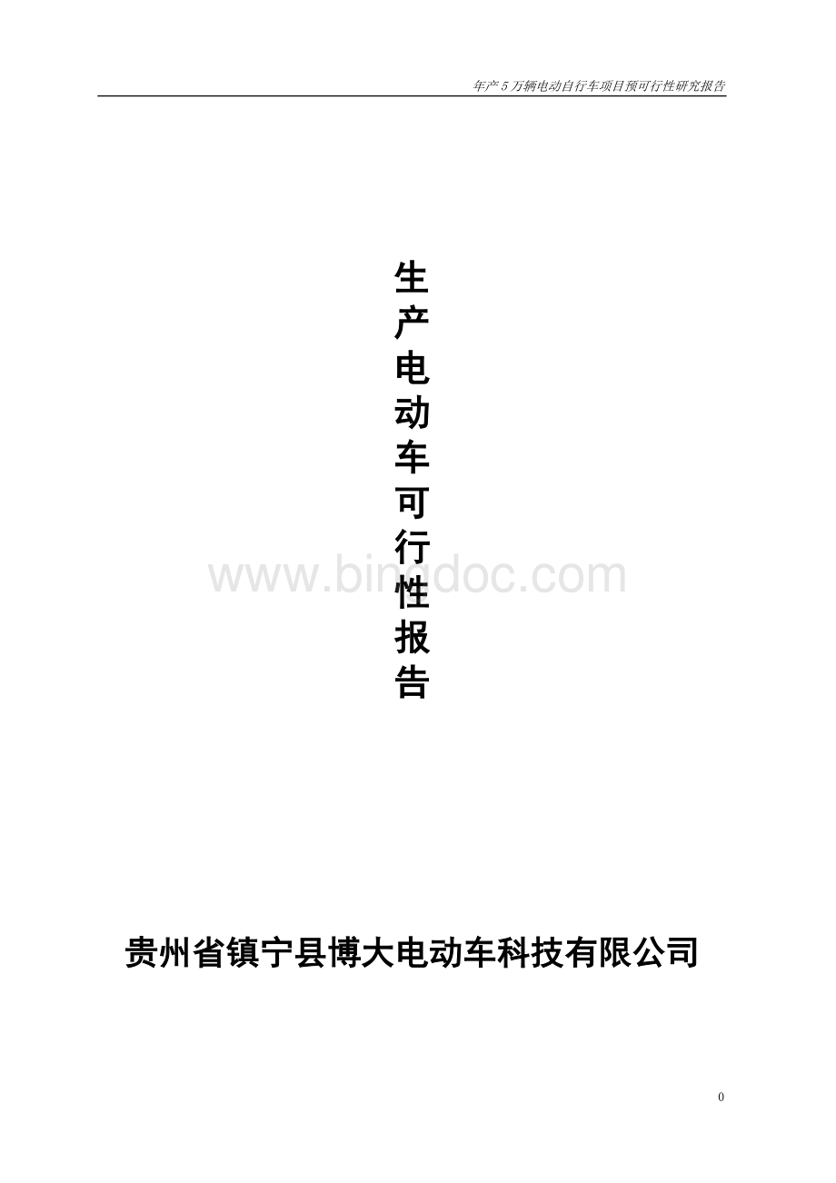 XX公司年产5万辆电动车项目可行性报告.doc