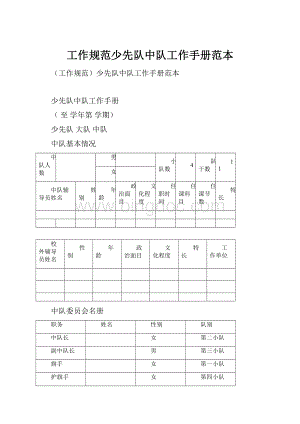 工作规范少先队中队工作手册范本.docx