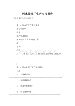 污水处理厂生产实习报告Word格式.docx