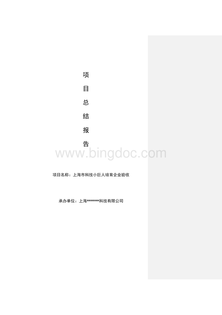 上海市培育型小巨人企业总结报告模版1Word下载.doc_第1页