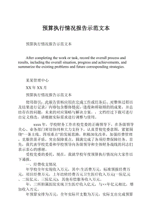 预算执行情况报告示范文本.docx