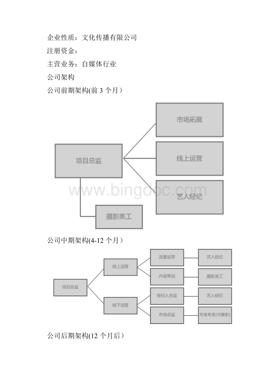 自媒体创业计划书10待修改Word文档下载推荐.docx_第3页