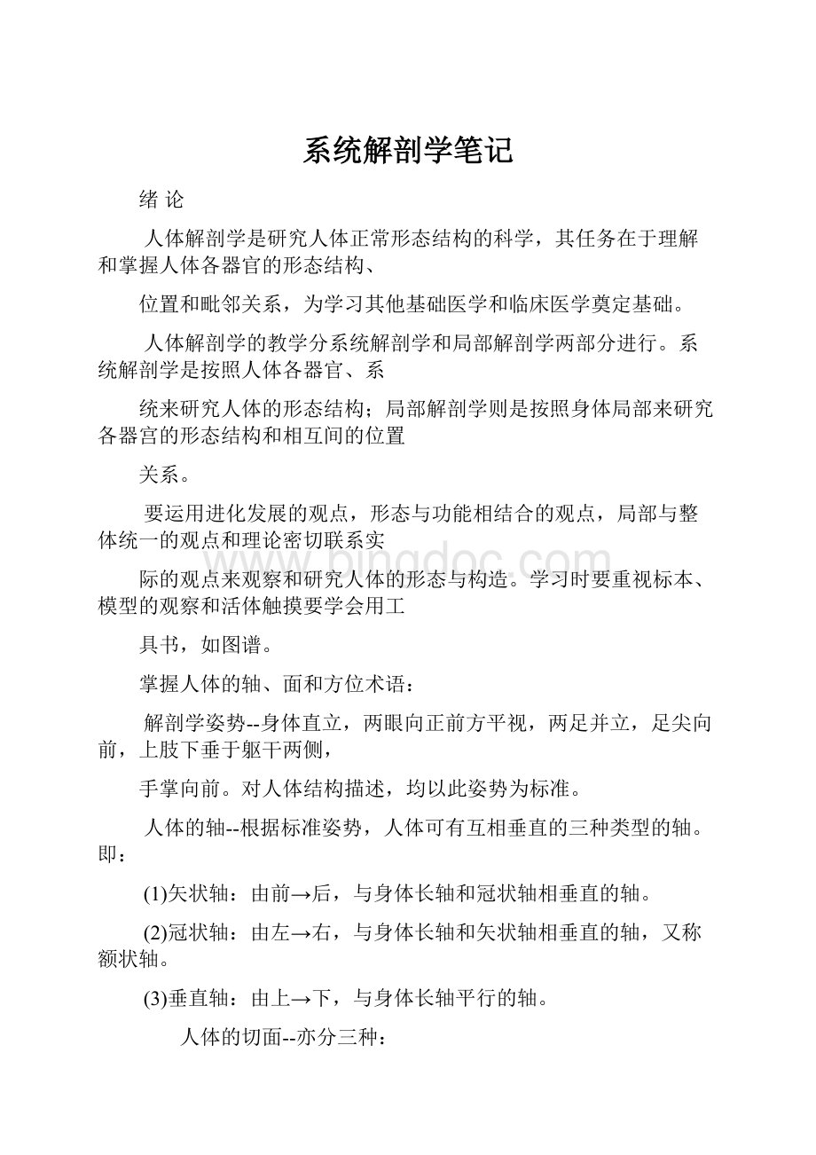 系统解剖学笔记.docx