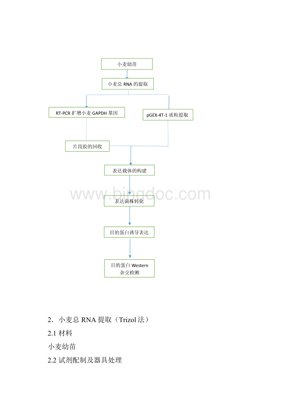 基因工程实验报告Word文档格式.docx_第2页