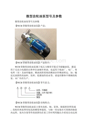 微型齿轮油泵型号及参数Word格式.docx