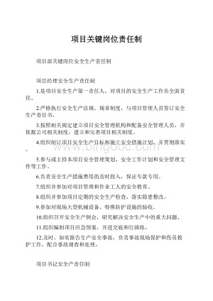 项目关键岗位责任制Word格式.docx