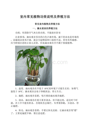 室内常见植物功效说明及养殖方法.docx