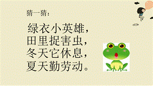新版一年级语文下册小青蛙.pptx