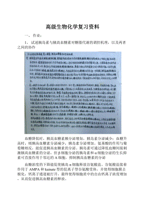 高级生物化学复习资料.docx