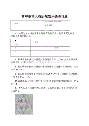 高中生物人教版减数分裂练习题.docx