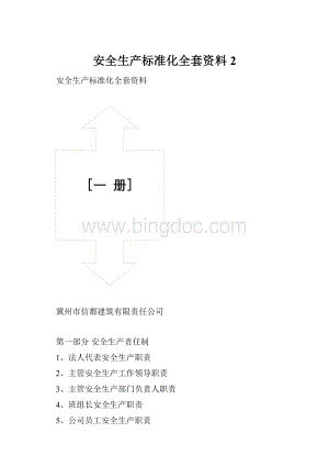 安全生产标准化全套资料 2Word格式.docx
