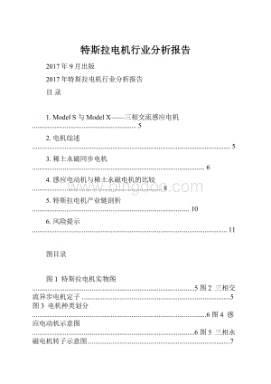 特斯拉电机行业分析报告.docx