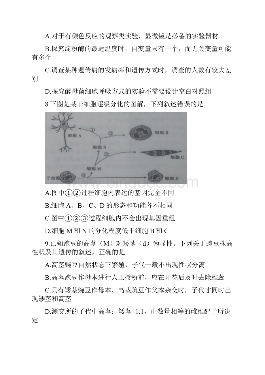 河北省邯郸市高三生物上学期期末教学质量检测试题.docx_第3页