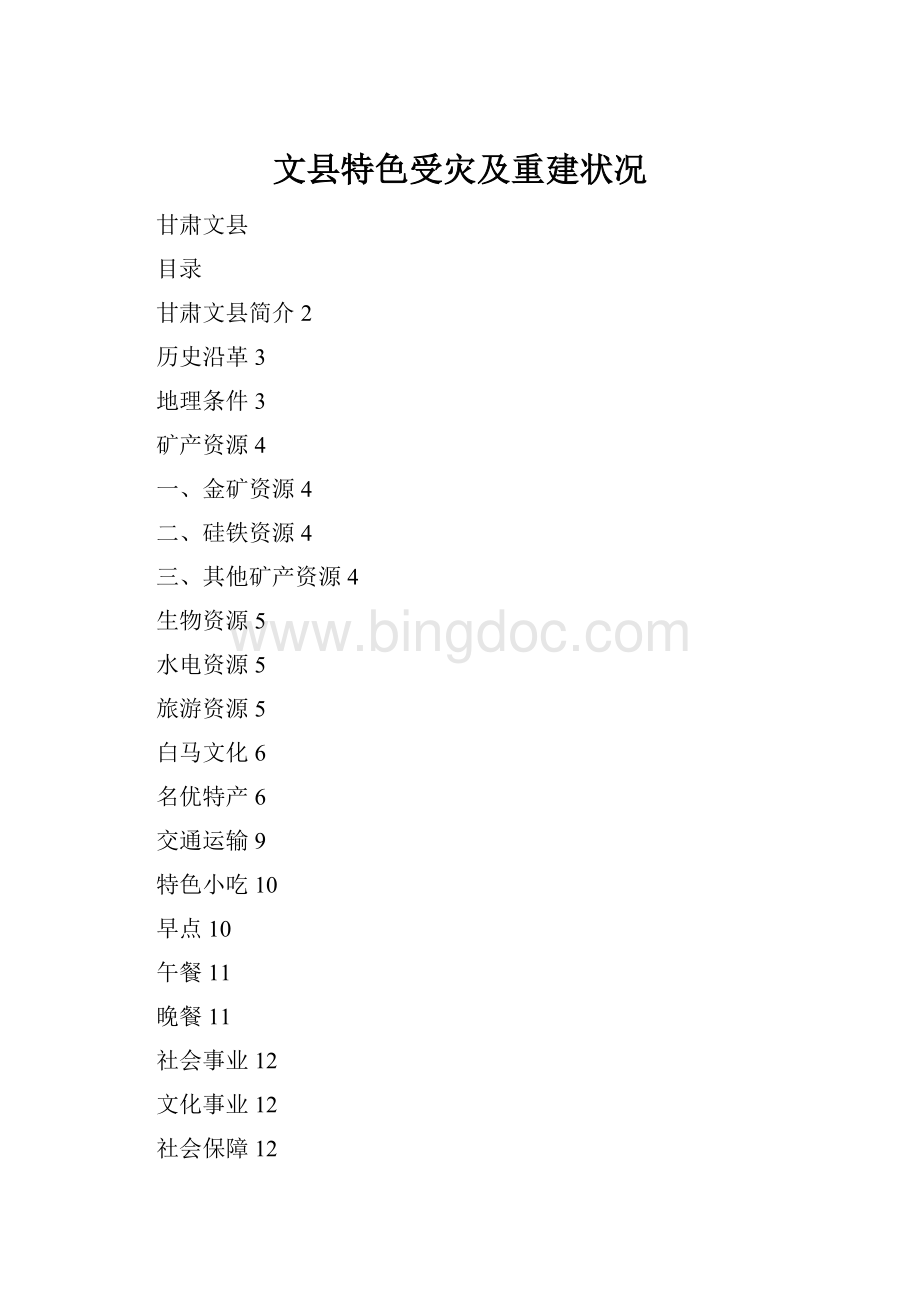文县特色受灾及重建状况Word文档格式.docx_第1页
