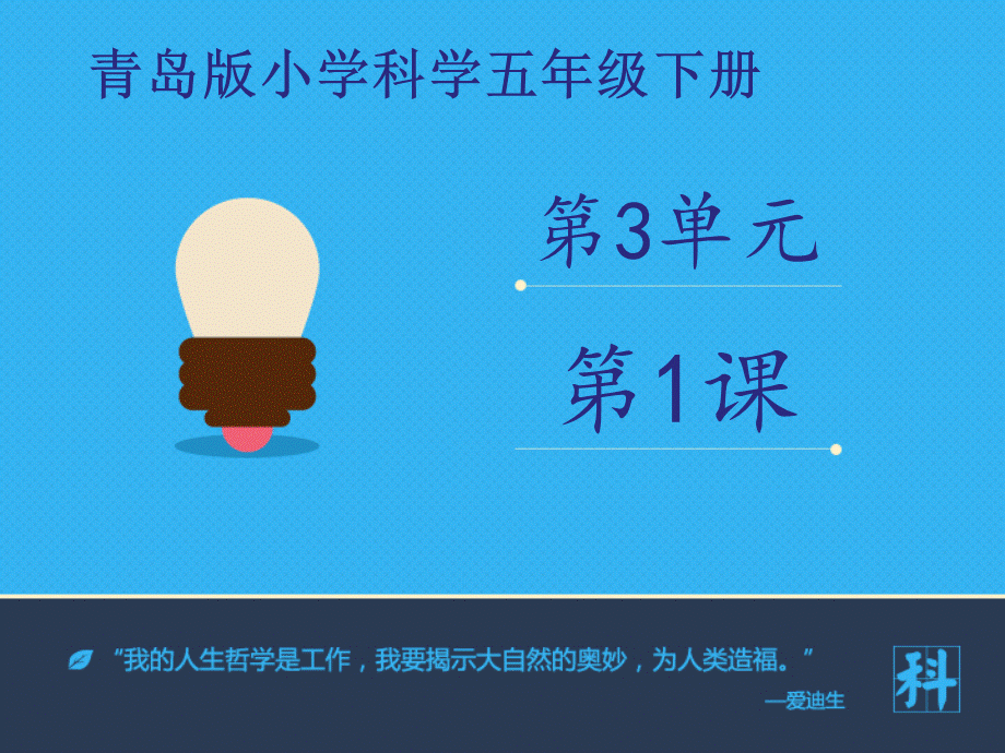 《种子发芽了》课件.ppt