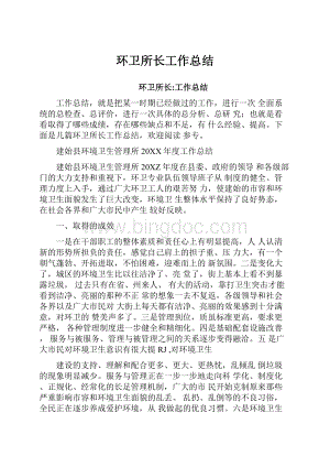 环卫所长工作总结.docx