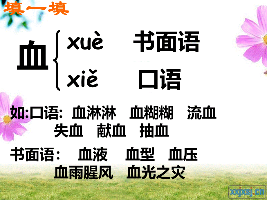 人教版三年级语文下册《她是我的朋友》.ppt_第3页