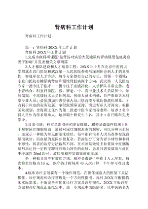 肾病科工作计划Word文档下载推荐.docx