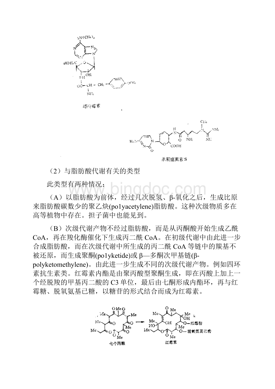 发酵生物化学基础Word文档格式.docx_第3页