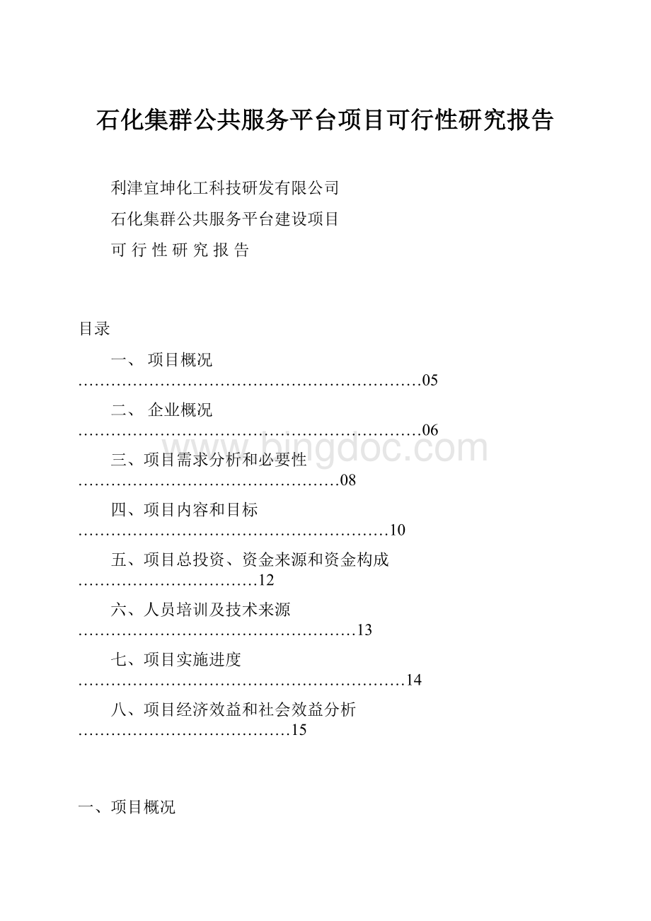 石化集群公共服务平台项目可行性研究报告Word文件下载.docx_第1页