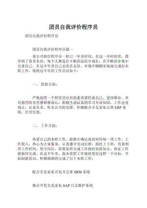 团员自我评价程序员.docx