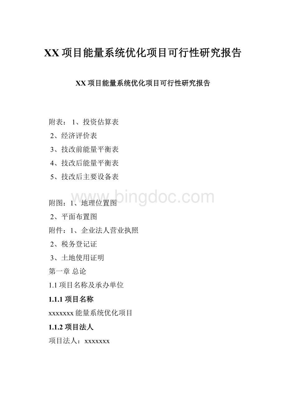 XX项目能量系统优化项目可行性研究报告Word格式.docx