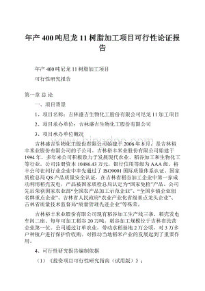 年产400吨尼龙11树脂加工项目可行性论证报告.docx