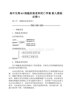 高中生物 63 细胞的衰老和死亡学案 新人教版必修1.docx