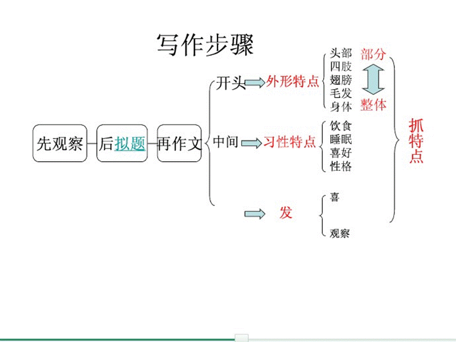 作文指导写一种小动物.ppt_第3页