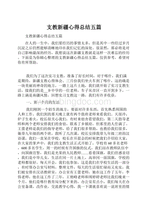 支教新疆心得总结五篇文档格式.docx