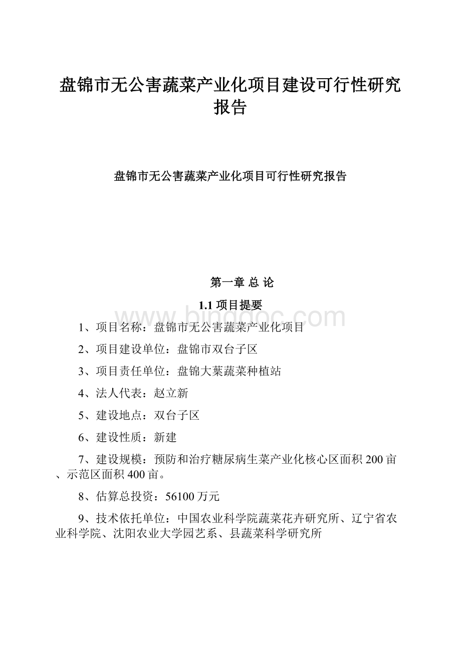 盘锦市无公害蔬菜产业化项目建设可行性研究报告Word格式.docx_第1页