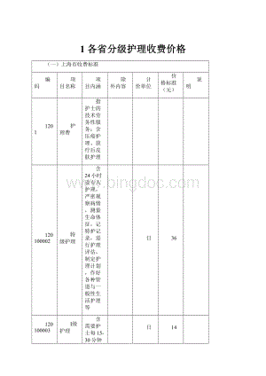 1 各省分级护理收费价格Word格式文档下载.docx