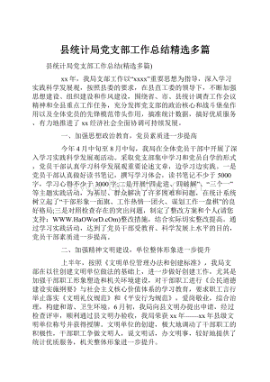 县统计局党支部工作总结精选多篇.docx