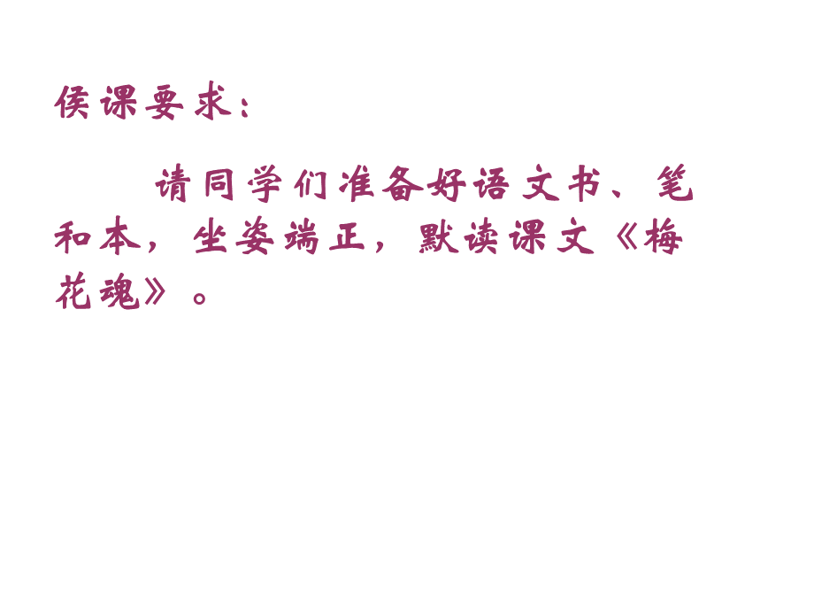 《梅花魂》第一课时PPT课件.ppt