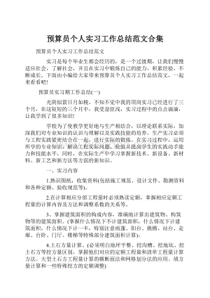 预算员个人实习工作总结范文合集.docx