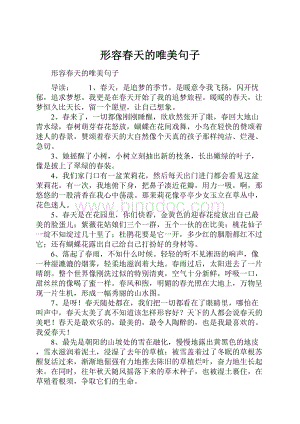 形容春天的唯美句子文档格式.docx