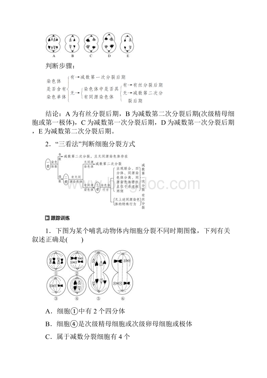 学年高考生物大一轮复习热点题型三多角度辨析减数分裂和有丝分裂学案.docx_第3页