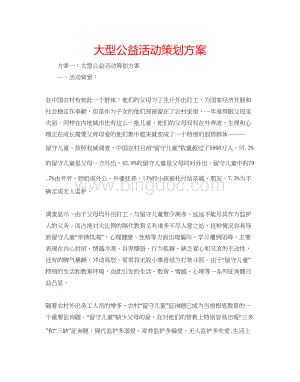 2023大型公益活动策划方案Word格式.docx