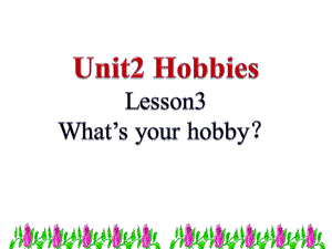 鲁科版四年级英语上册Unit2Hobbies课件PPT推荐.ppt