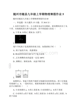 随州市随县九年级上学期物理寒假作业 5.docx