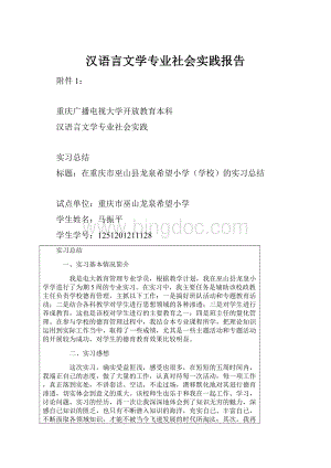 汉语言文学专业社会实践报告Word格式.docx