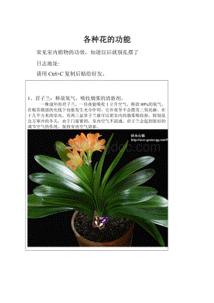 各种花的功能.docx