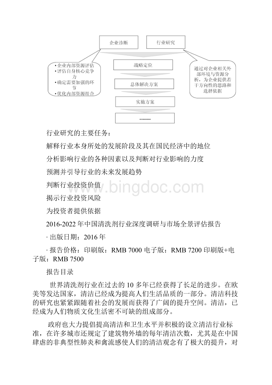 中国清洗剂行业深度调研与市场全景评估报告Word格式.docx_第3页