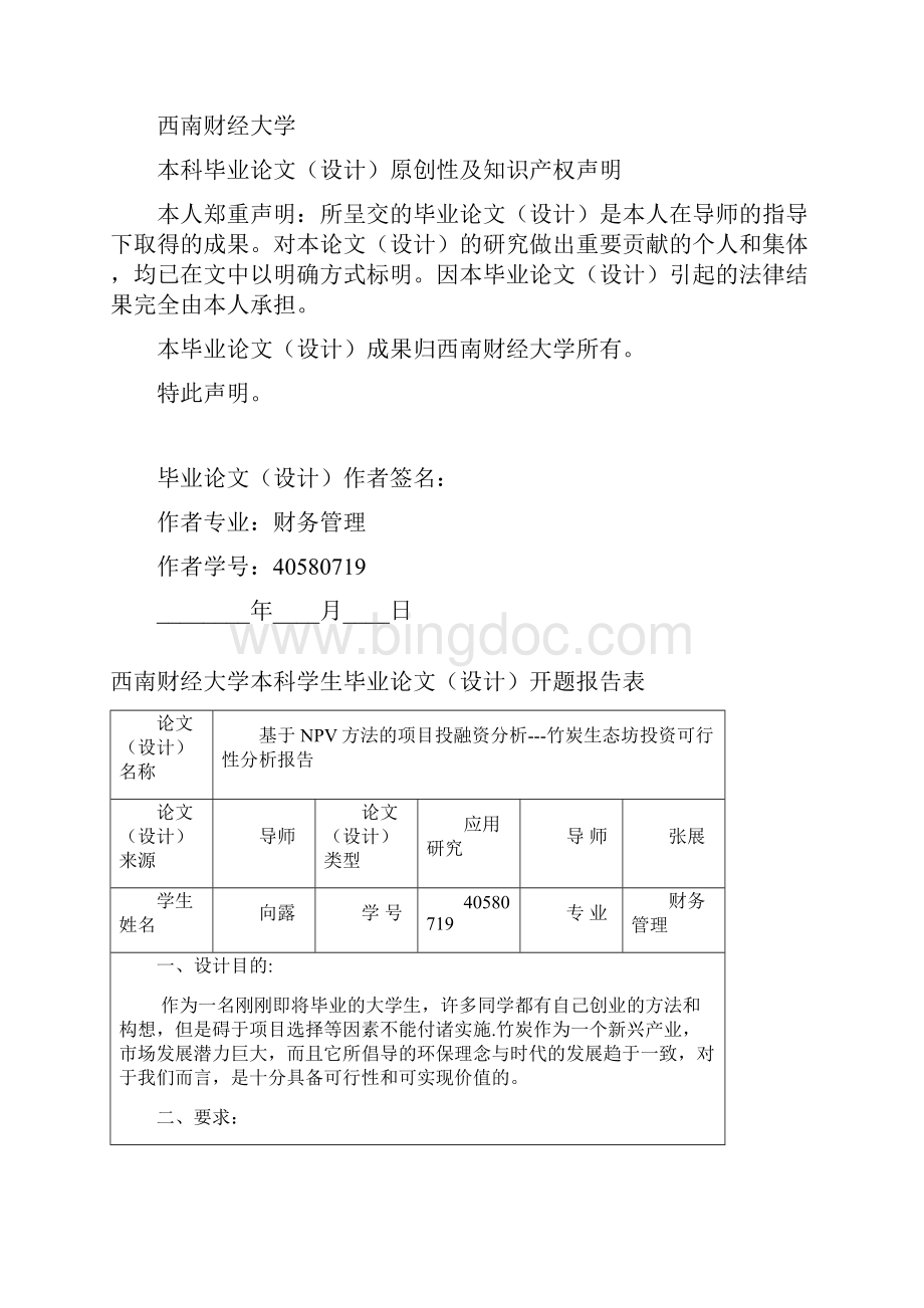 基于NPV方法的项目投融资分析竹炭.docx_第2页